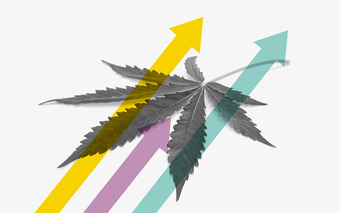 How to Successfully Market Your Cannabis Brand