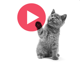 Wistia Presents: Video Marketing Best Practices + Festival Pump Up Party