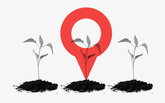 Planting and the Streets